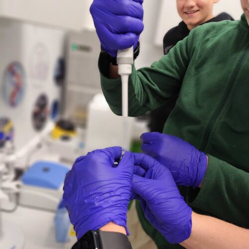 Biologia molekularna od kuchni? Zdecydowanie od laboratorium!